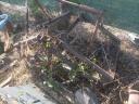 Borona for sale Folding