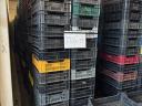 M-10 plastic crate for sale, washed, strapped on pallet, stored in cold storage