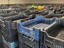 M-10 plastic crate for sale, washed, strapped on pallet, stored in cold storage