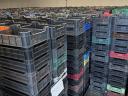 M-10 plastic crate for sale, washed, strapped on pallet, stored in cold storage