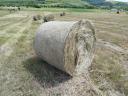 Bale of hay