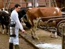 Gloria - 505 T Profiline high performance sprayer