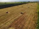 Bale of hay