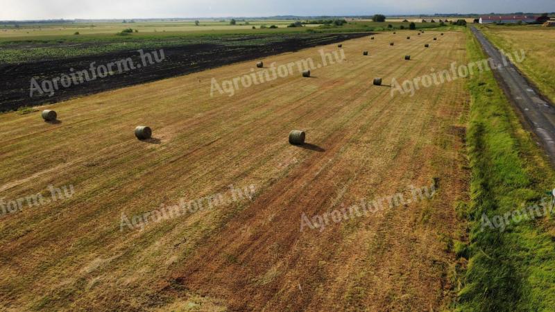 Bale of hay