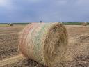 Rusty hay