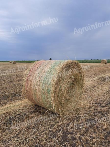 Rusty hay