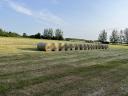 Rete hay bale
