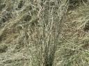 Rete hay bale