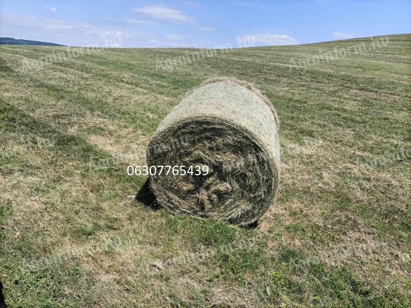 Premium quality, organic certified hay for sale