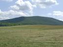 Premium quality, organic certified hay for sale