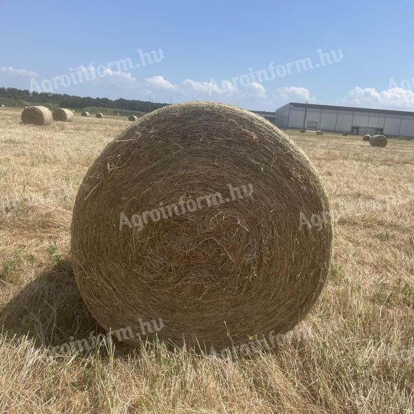 Lucerna bale