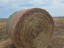 Mixed hay