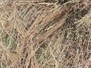 Mixed hay