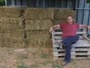 Lucerna small cube bale