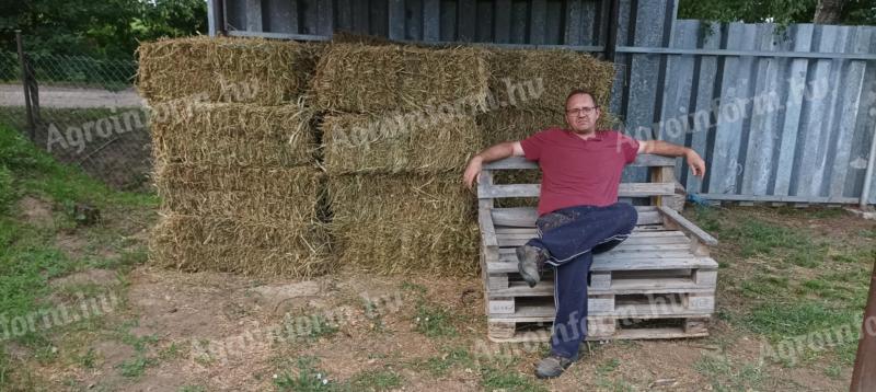 Lucerna small cube bale