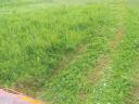 Lucerna small cube bale