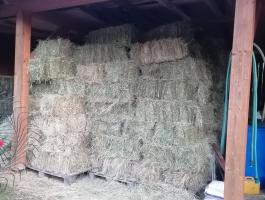 Kisbálás széna eladó