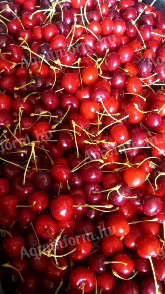 Cherries