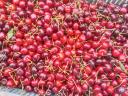 Cherries
