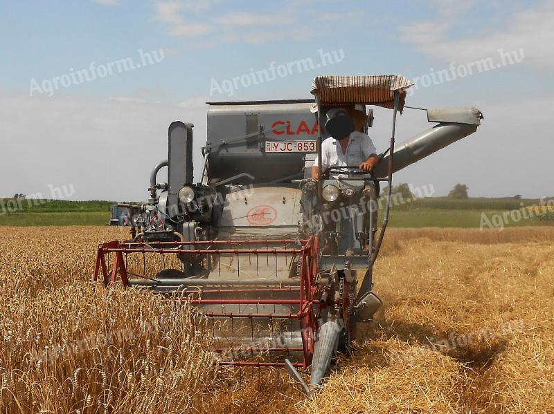 Claas Columbus parcella kombájn eladó