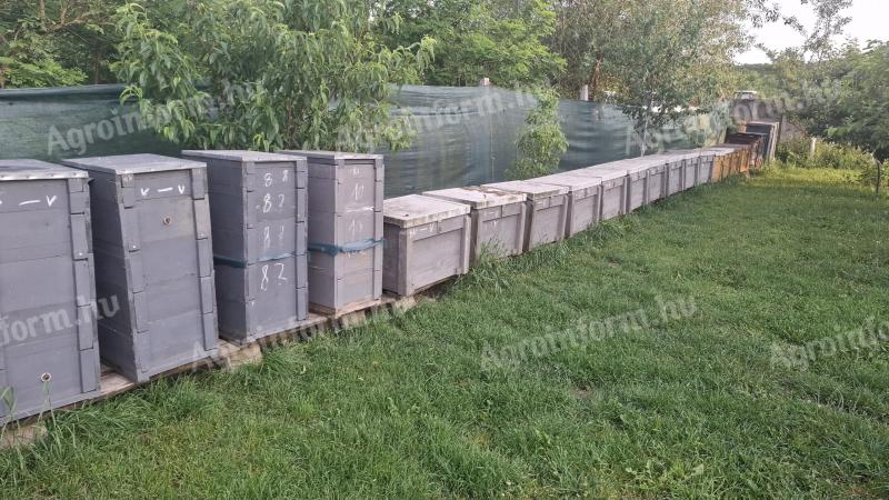 NB hives for sale