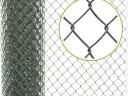 Wild web