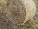 Lucerna bale