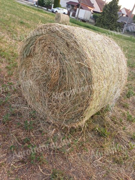 Lucerna bale