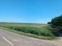 Ackerland zu verkaufen in der Nähe von Emőd, neben der Hauptstraße