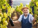 Winemaker-winemaker training