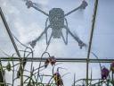 Shade smartly with foil or greenhouse - we work with multiple layers