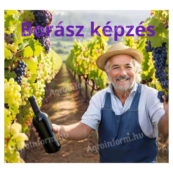 Wine maker 07214009 training