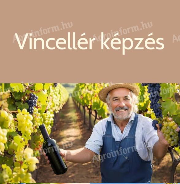 Vincellér 07214016 Training