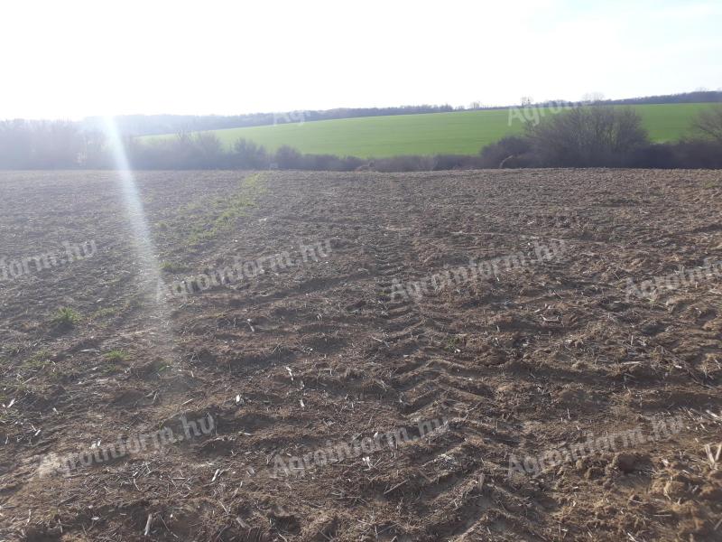 ZU VERKAUFEN 9 Hektar Ackerland, geeignet für Solarpark
