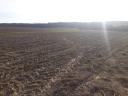ZU VERKAUFEN 9 Hektar Ackerland, geeignet für Solarpark