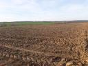 ZU VERKAUFEN 9 Hektar Ackerland, geeignet für Solarpark