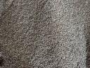 Triticale 2024 - Good quality triticale