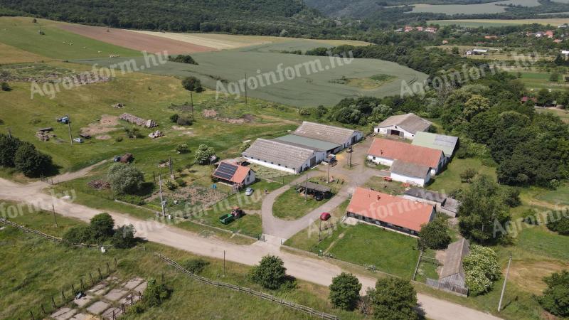 Kmetija za prodajo zunaj Márianosztra