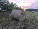Feed lucerne