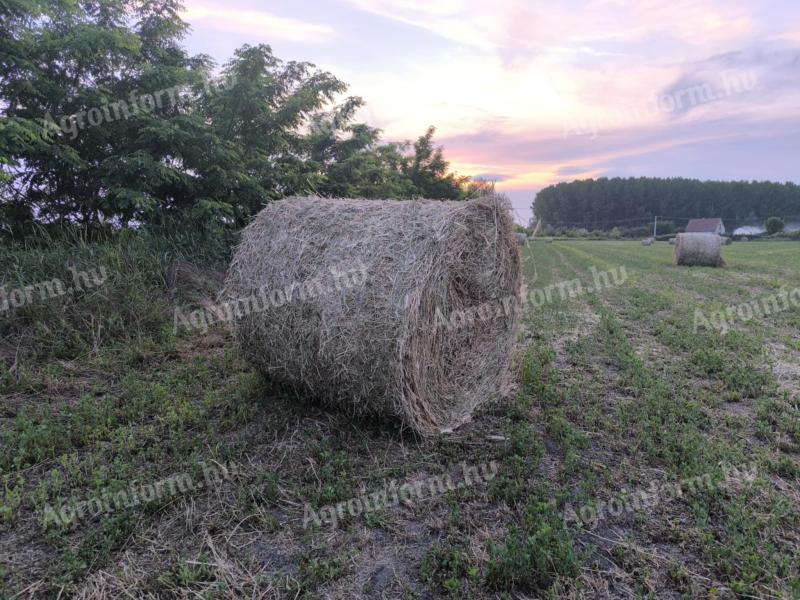 Feed lucerne