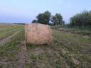 Feed lucerne