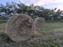Feed lucerne