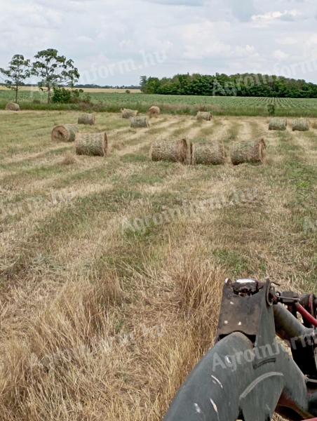 Bale of hay for sale