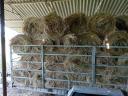 Bale of hay for sale