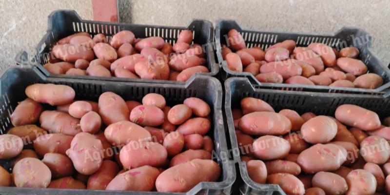 Potatoes for sale