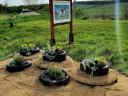 Agricultural machine operator for cattle farm