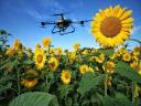 Dronový fungicid a zvyšovač výnosu slunečnice
