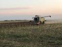 Harvest