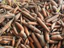 Feed carrots