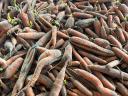 Feed carrots